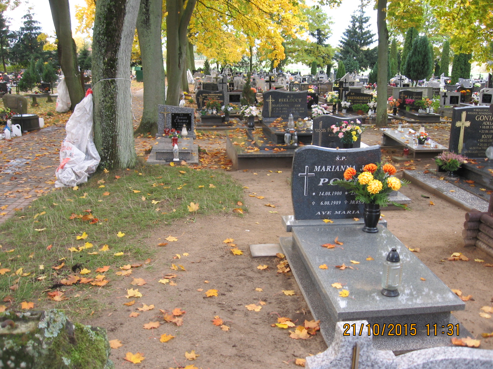 Zdjęcie grobu