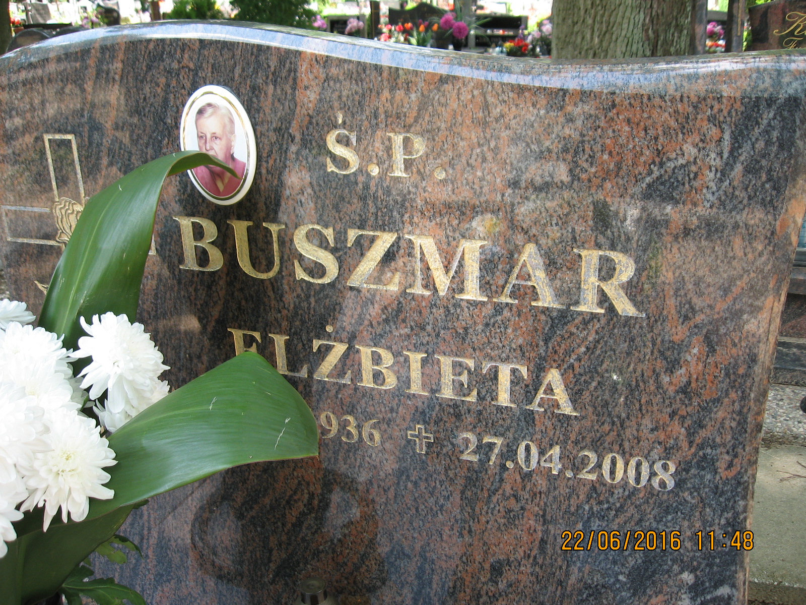 Grób Elżbieta Buszmar