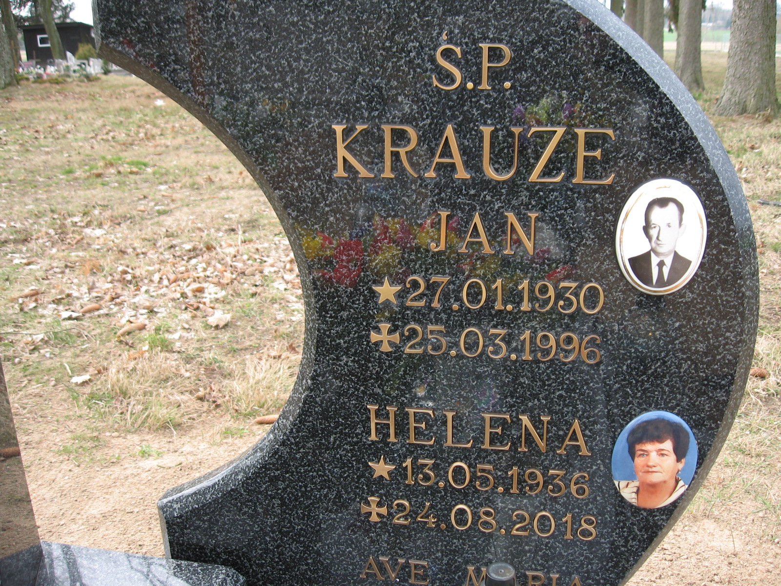 Grób Helena Krauze